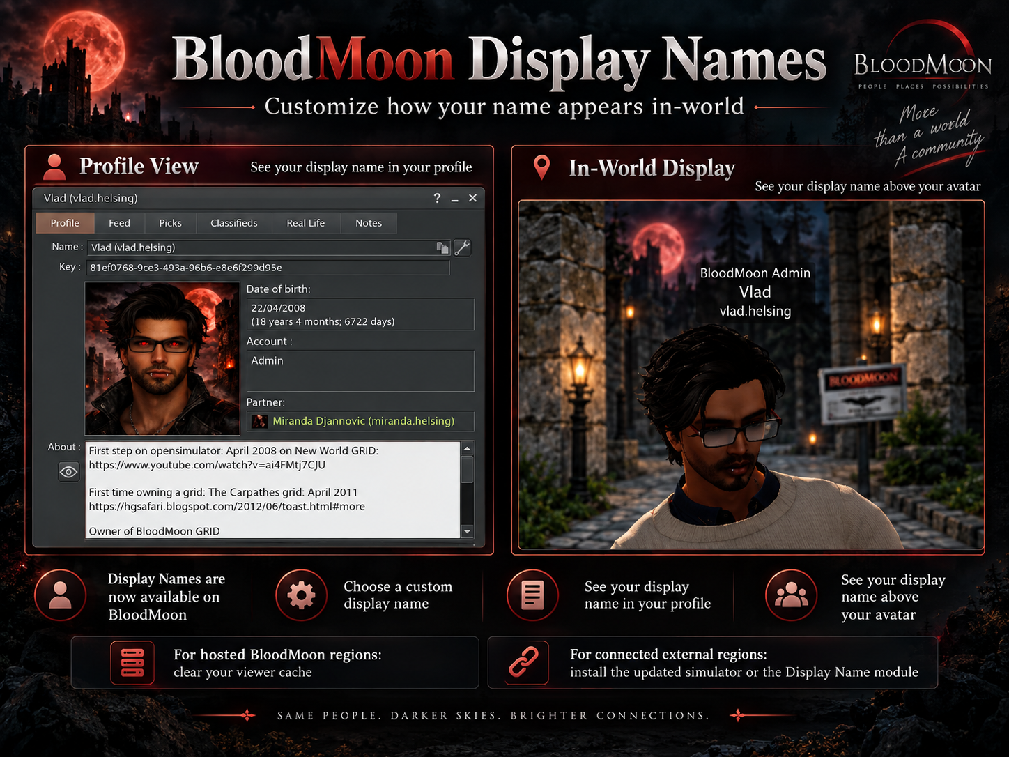 BloodMoon Display Names overview showing profile and in-world display examples